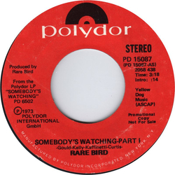 Rare Bird Somebody's Watching Vinyl 7" USED