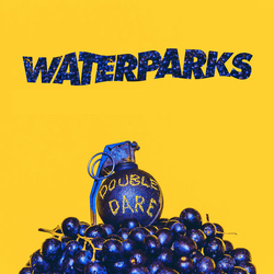 Waterparks Double Dare Vinyl LP USED