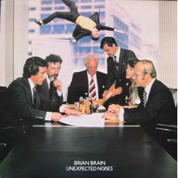 Brian Brain Unexpected Noises Vinyl LP USED