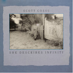 Scott Cossu She Describes Infinity Vinyl LP USED