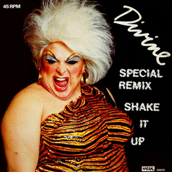 Divine Shake It Up (Special Remix) Vinyl 12" USED
