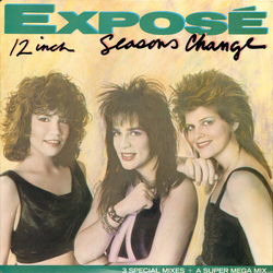 Exposé Seasons Change Vinyl 12" USED