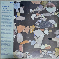공중도둑 공중도덕 (Gongjoong Doduk) Vinyl LP USED