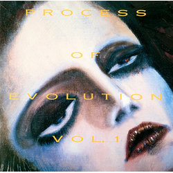 Various Process Of Evolution Vol. 1 Vinyl LP USED