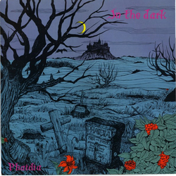 Phaidia In The Dark Vinyl LP USED