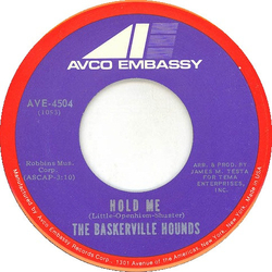 The Baskerville Hounds Hold Me Vinyl 7" USED