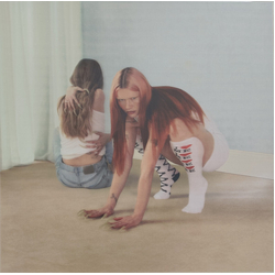 Wet Leg Moisturizer Vinyl LP USED
