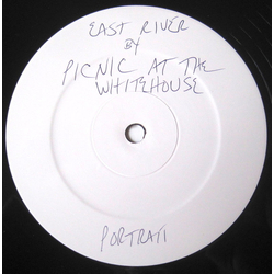 Picnic At The Whitehouse East River Vinyl 12" USED