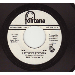 The Castaways Lavender Popcorn / What Kind Of Face Vinyl 7" USED