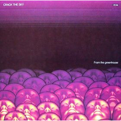 Crack The Sky From The Greenhouse Vinyl LP USED