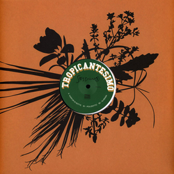 Tropicantesimo Session 3 Vinyl 12" USED