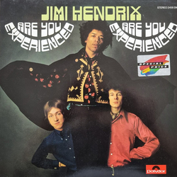 The Jimi Hendrix Experience Are You Experienced Vinyl LP USED