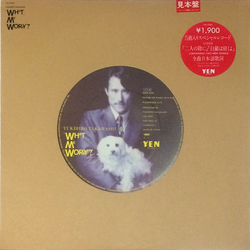 Yukihiro Takahashi What, Me Worry? Vinyl 12" USED