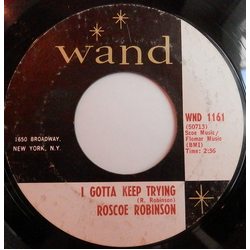 Roscoe Robinson I Gotta Keep Trying Vinyl 7" USED
