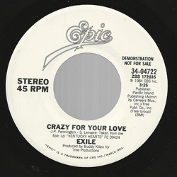 Exile (7) Crazy For Your Love Vinyl 7" USED