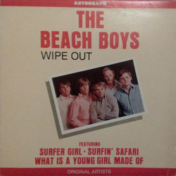 The Beach Boys Wipe Out Vinyl LP USED