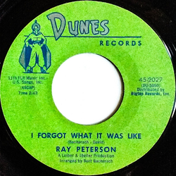 Ray Peterson I Forgot What It Was Like / Be My Girl Vinyl 7" USED