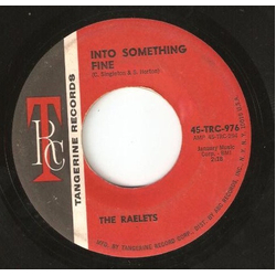 Raelets Into Something Fine / A Lover's Blues Vinyl 7" USED