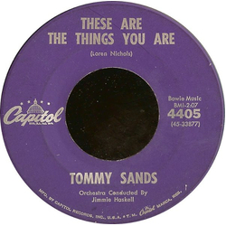 Tommy Sands These Are The Things You Are / The Old Oaken Bucket Vinyl 7" USED