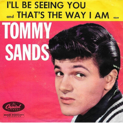 Tommy Sands I'll Be Seeing You Vinyl 7" USED
