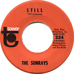 The Sunrays Still / When You're Not Here Vinyl 7" USED