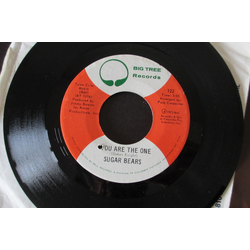Sugar Bears (2) You Are The One Vinyl 7" USED