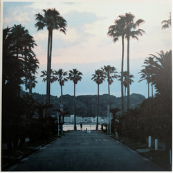 Submerse Are You Anywhere Vinyl LP USED