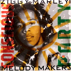 Ziggy Marley And The Melody Makers Conscious Party Vinyl LP USED