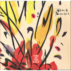 Black Peaches Fire In The Hole Multi Vinyl LP/Vinyl 7" USED