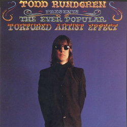 Todd Rundgren The Ever Popular Tortured Artist Effect Vinyl LP USED