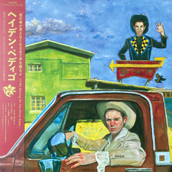 Hayden Pedigo I'll Be Waving As You Drive Away Vinyl LP USED