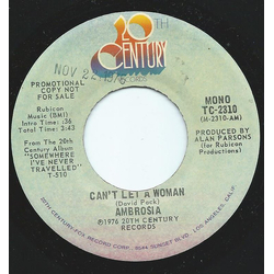 Ambrosia Burleigh Drummond Can't Let A Woman Vinyl 7" USED