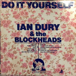 Ian Dury And The Blockheads Do It Yourself Vinyl LP USED