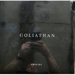 Goliathan Awakens Vinyl 12" USED