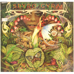 Spyro Gyra Morning Dance Vinyl LP USED