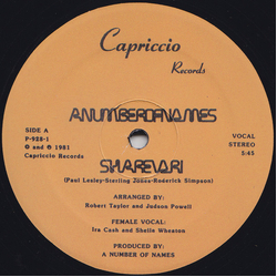 A Number Of Names Sharevari Vinyl 12" USED
