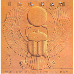 Ingram Would You Like To Fly Multi Vinyl LP/Vinyl 12" USED