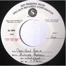 Picture Perfect (2) Can't Hold Back The Tears Vinyl 7" USED