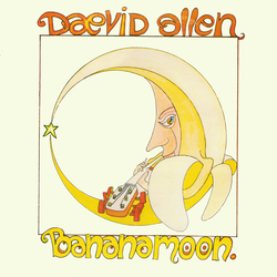Daevid Allen Banana Moon Vinyl LP USED
