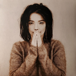 Bjork Debut Vinyl LP USED