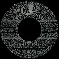 Kings Go Forth Don't Take My Shadow Vinyl 7" USED