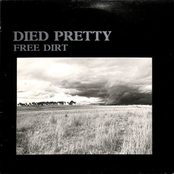 Died Pretty Free Dirt Vinyl LP USED