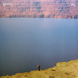 Spice (46) Viv Vinyl LP USED