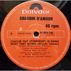 Chagrin D'amour Chacun Fait (Everybody Is Doing What They Want) Vinyl 12" USED