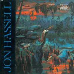 Jon Hassell The Surgeon Of The Nightsky Restores Dead Things By The Power Of Sound Vinyl LP USED