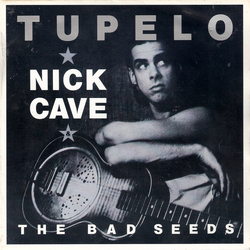 Nick Cave & The Bad Seeds Tupelo Vinyl 7" USED