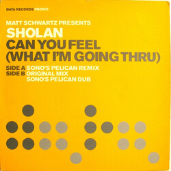 Matt Schwartz / Sholan Can You Feel (What I'm Going Thru) USED VINYL 12INCH PROMO