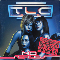 TLC No Scrubs Vinyl 12" USED