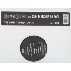 Unsung Heroes The Norm / Transatlantic Vinyl 12" USED