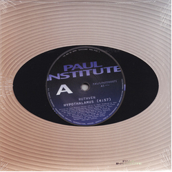 Ruthven Hypothalamus Vinyl 7" USED